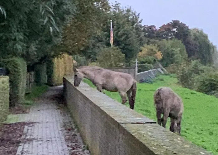 Hoeve Op De Maastricht