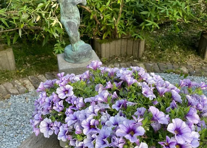 Hoeve Op De 아파트 *