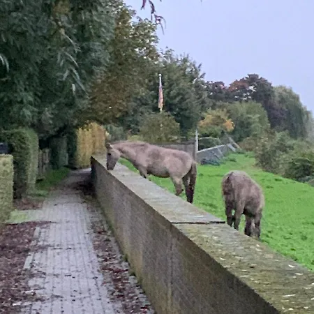 Hoeve Op De Maastricht
